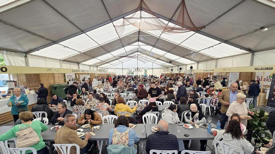 Primer día de la «Festa do Choco» en Redondela
