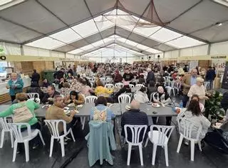 Primer día de la «Festa do Choco» en Redondela