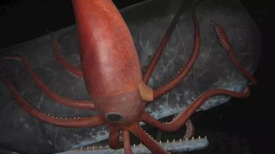 Encuentro bajo el agua entre el cachalote y el calamar gigante.