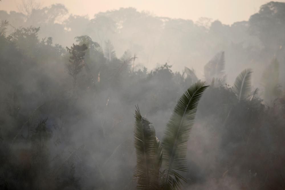 Rècord d'incendis a l'Amazones