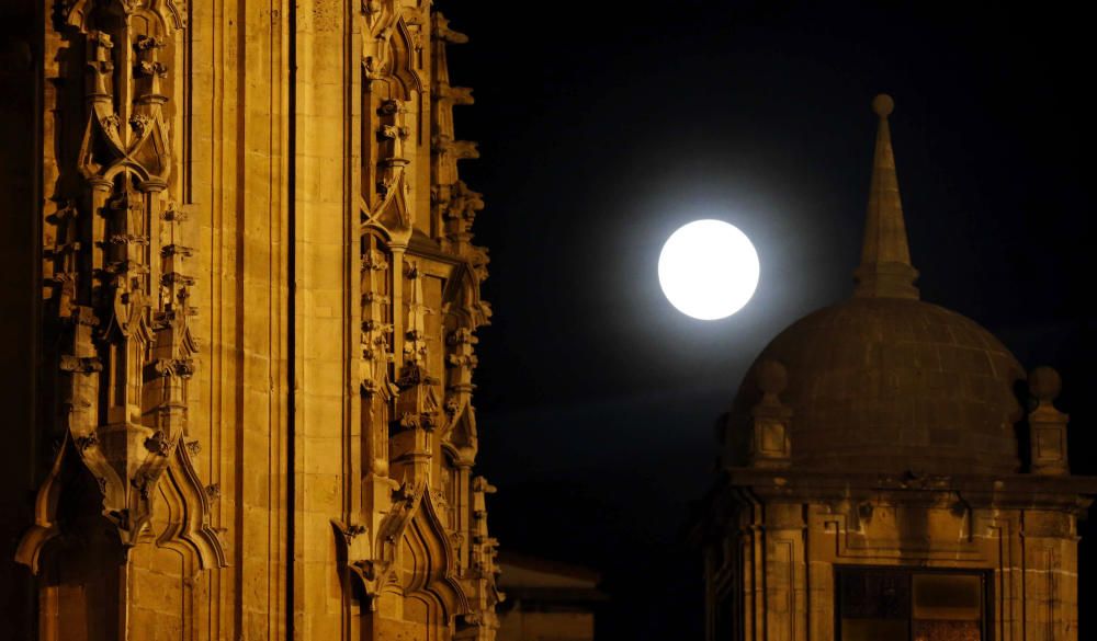 SUPERLUNA NOVIEMBRE