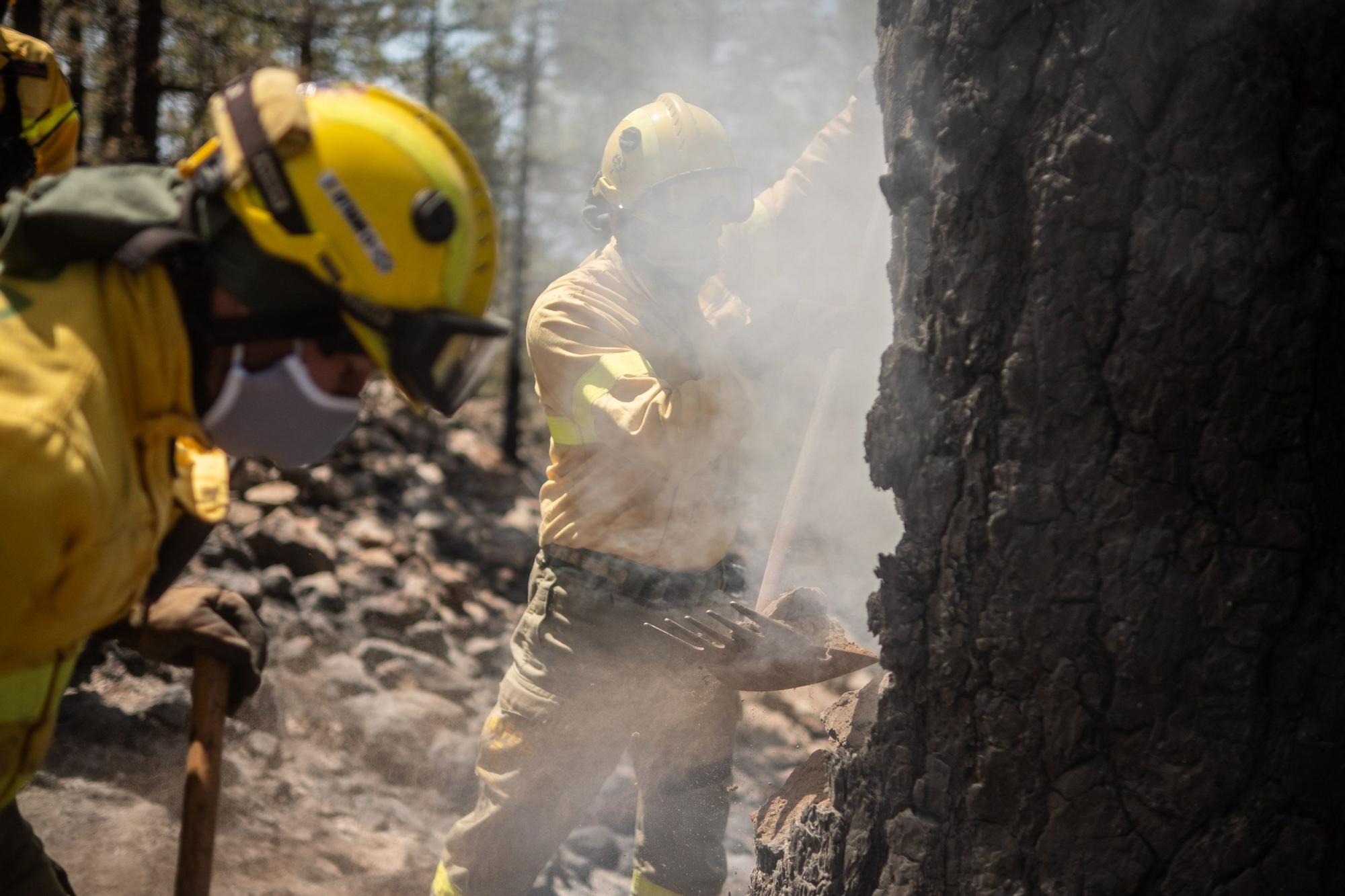 Dispositivo especial del Cabildo de Tenerife en el incendio de Arico