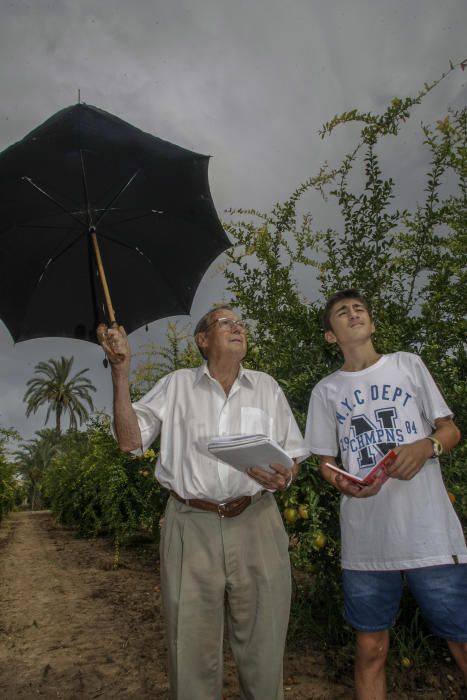 Cabañuelas: predicción del tiempo en Elche