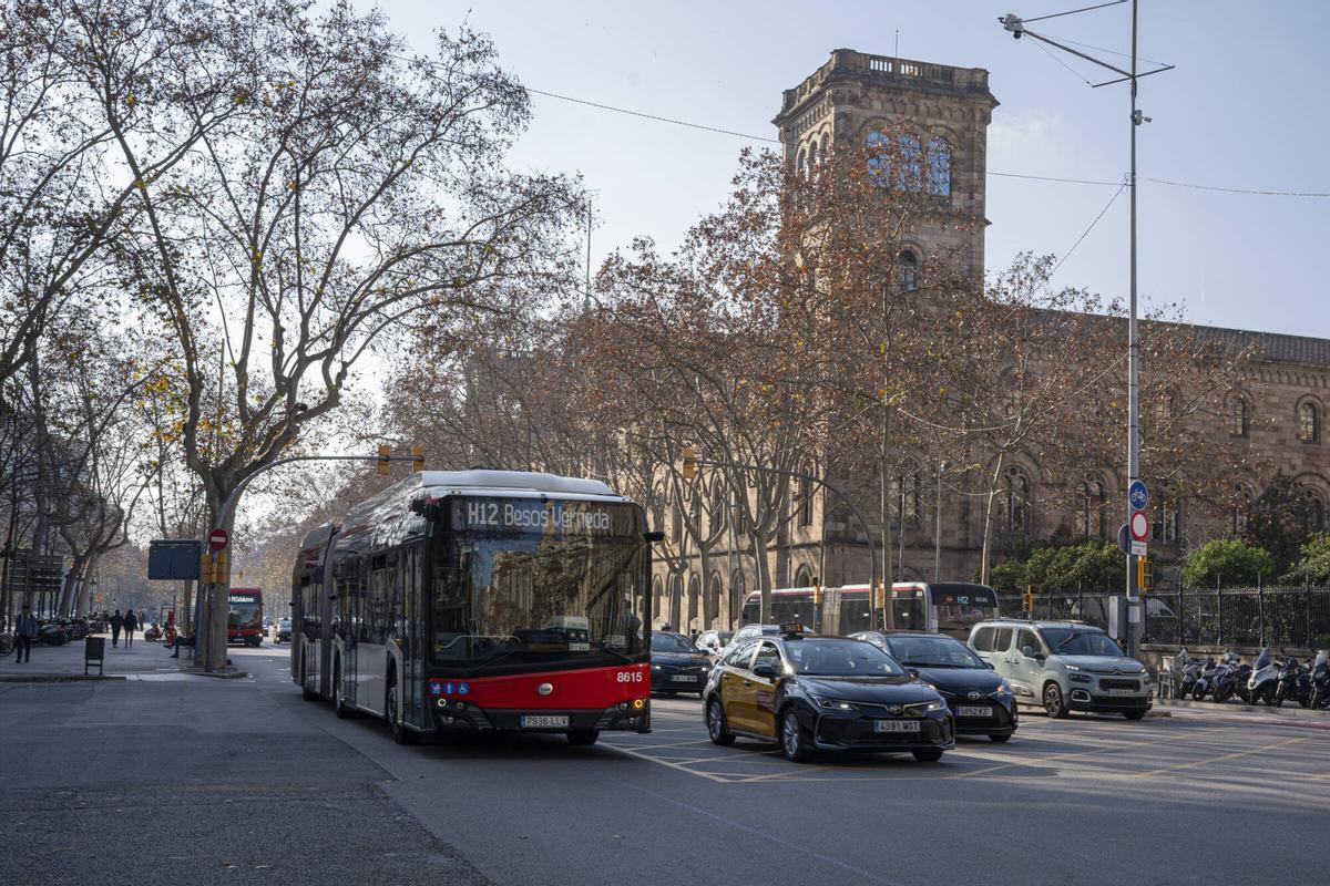 El bus H12 circulando este jueves por la Gran Vía de les Corts Catalanes en Universitat, tramo que se reforzará para alcanzar una frecuencia de 5 minutos.
