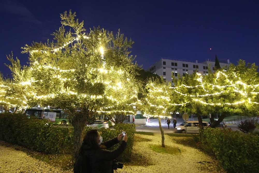 La luz de la Navidad llega al Hospital Reina Sofía