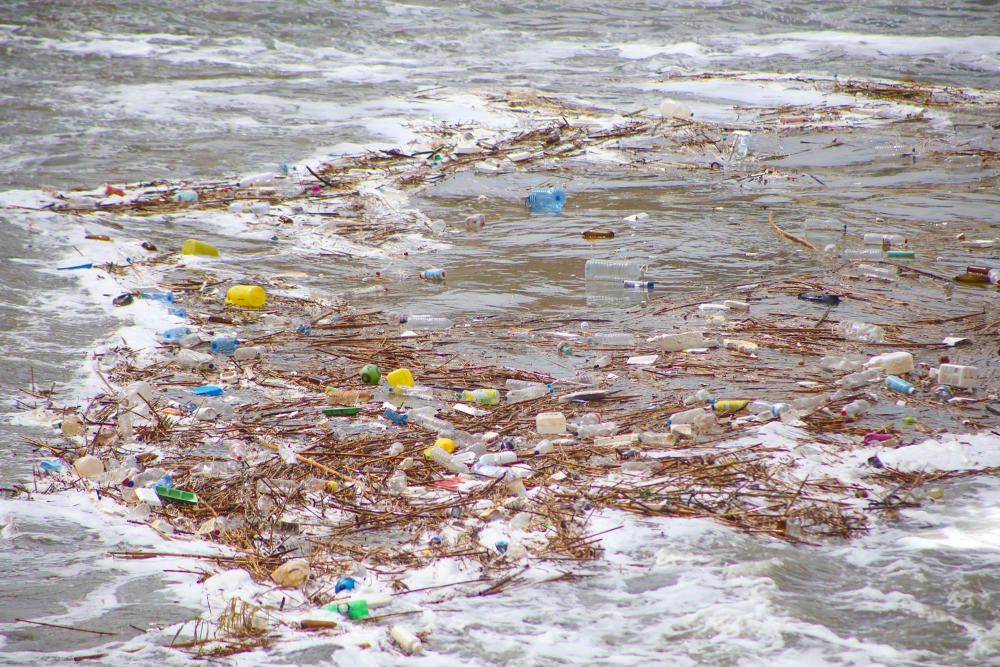 La CHS investiga la aparición de espuma en superficie a lo largo del cauce del Segura en toda la comarca, tras las lluvias que se han registrado en los últimos días.