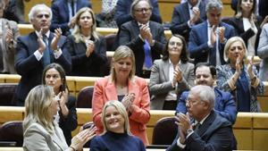 El PP es val dels lletrats del Senat per vetar la llei que beneficia etarres