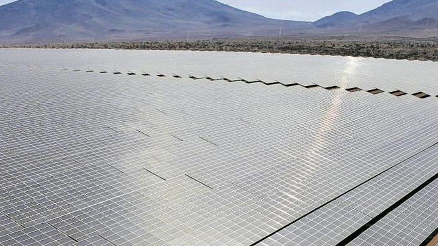 Crean una plataforma para luchar contra una macro planta solar en Mata de Alcántara