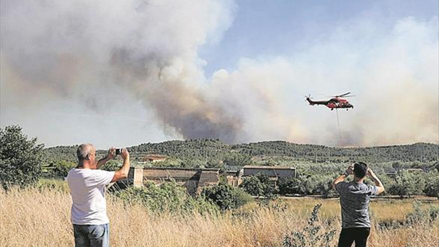 WWF alerta de la pandèmia mundial dels nous incendis forestals