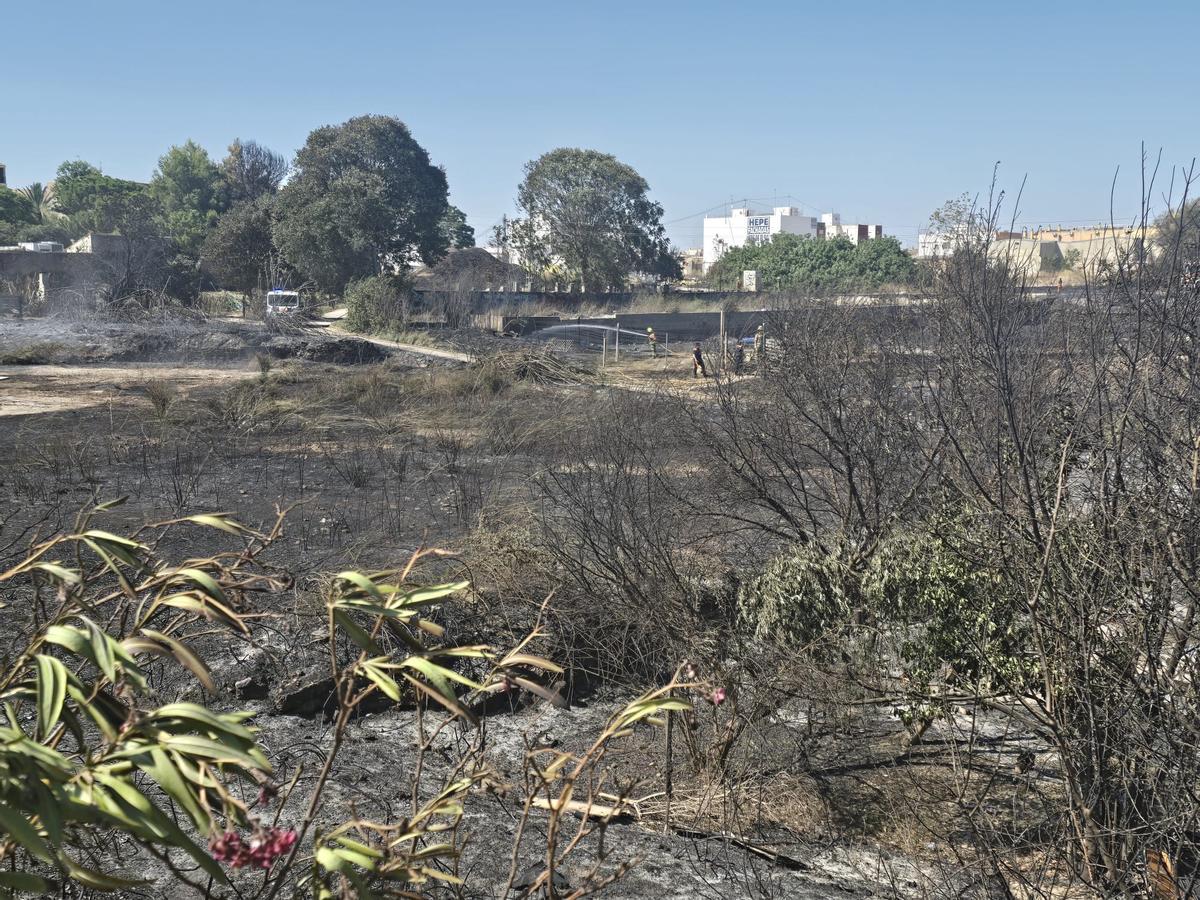 Así ha quedado el barranco de Manises tras el incendio que se ha cobrado la vida de un hombre