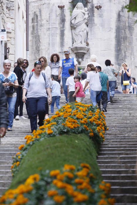 Primer diumenge de Temps de Flors