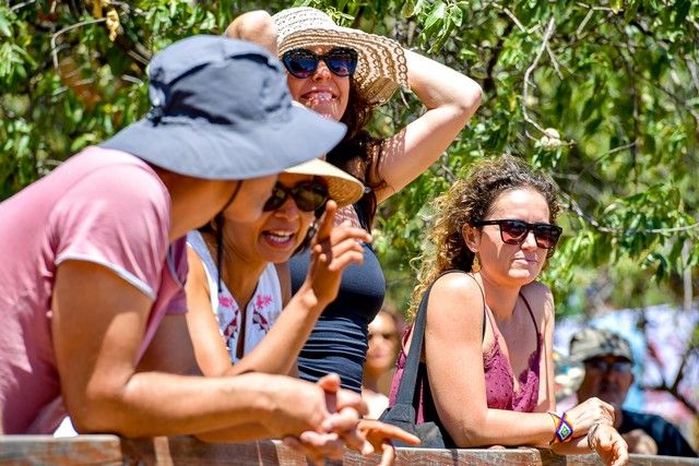 Festival de Sostenibilidad, Cultura y Soltura en Valsequillo