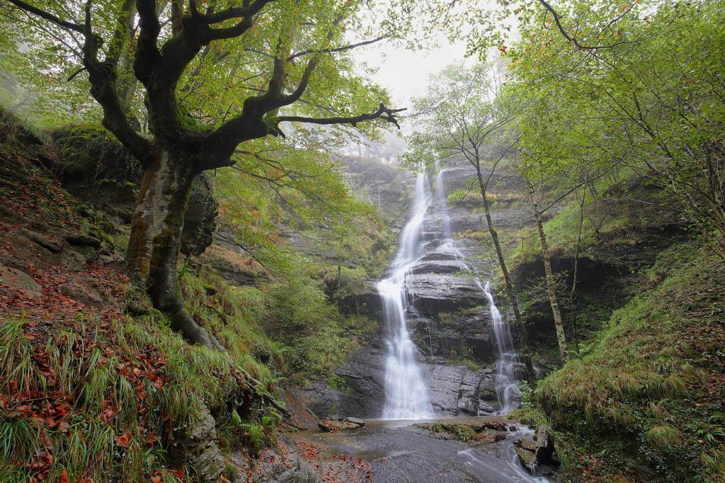 Urdaibai, País Vasco