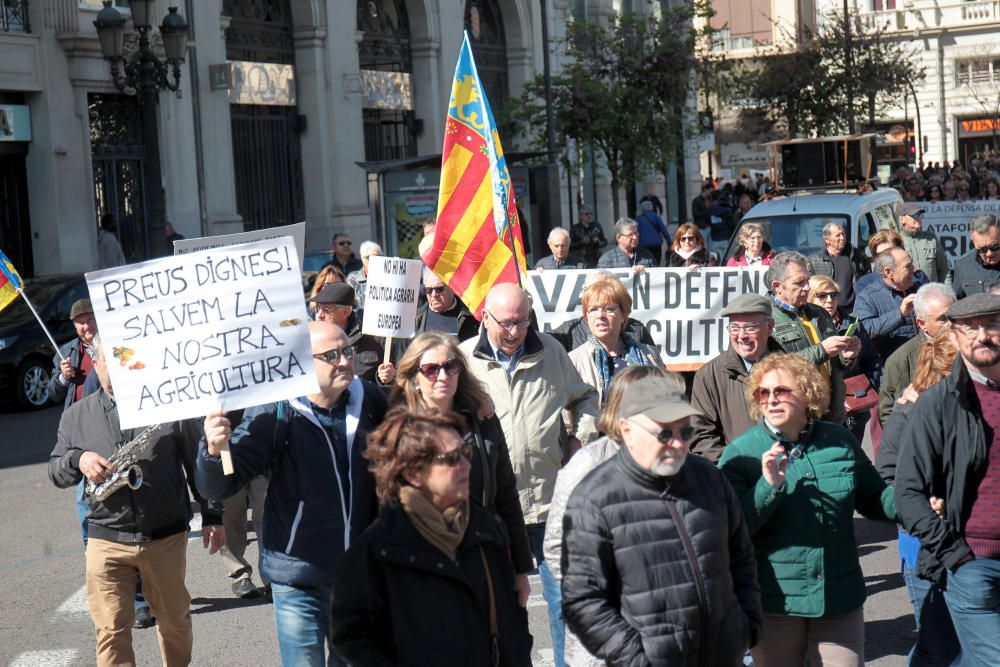 Manifestación en defensa del sector citrícola