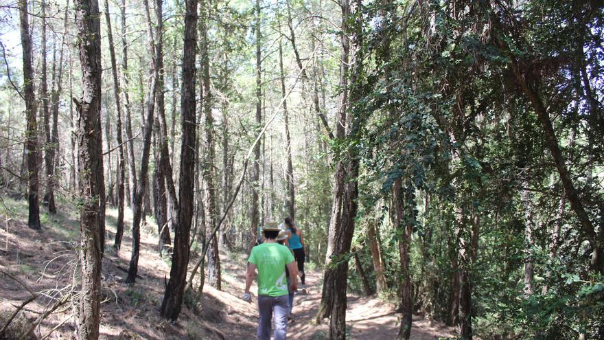 Bombers i experts destaquen la gestió del mateix foc com a mesura per evitar grans incendis forestals