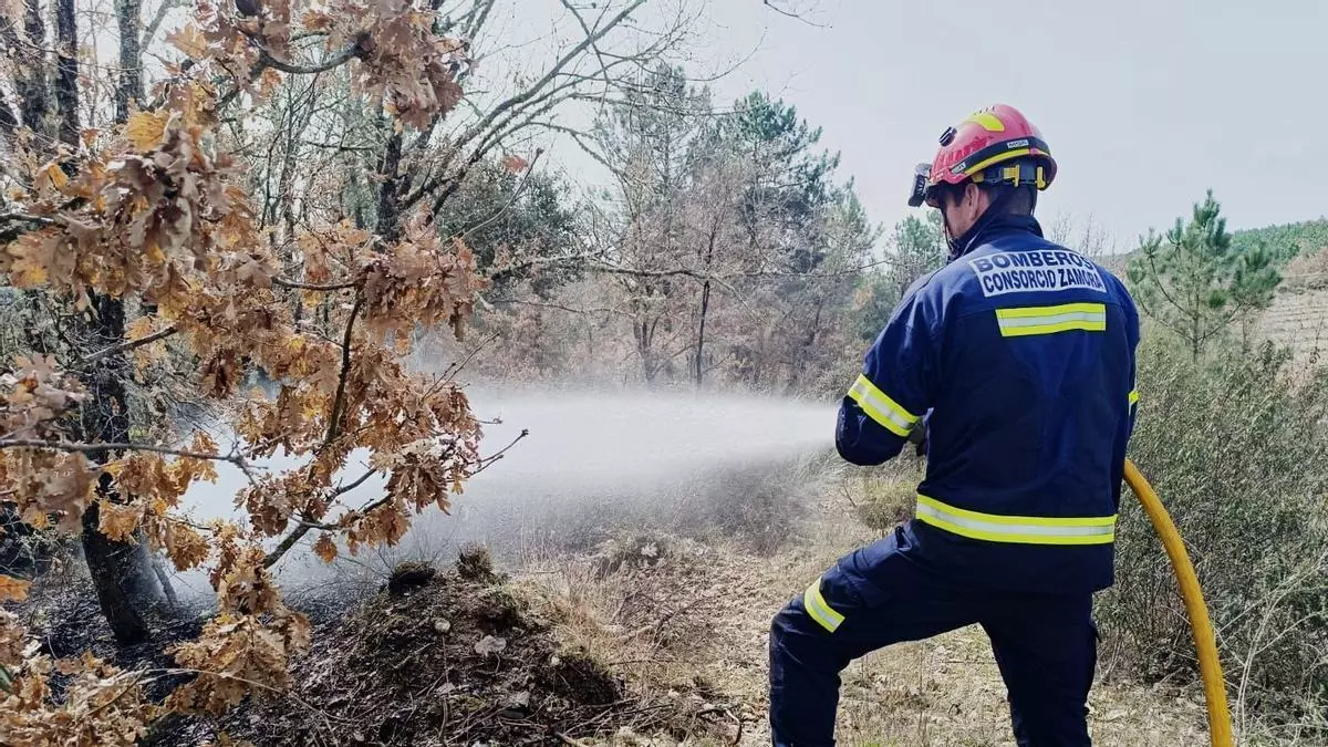 Alarma por un pequeño incendio forestal entre Nuez de Aliste y Trabazos