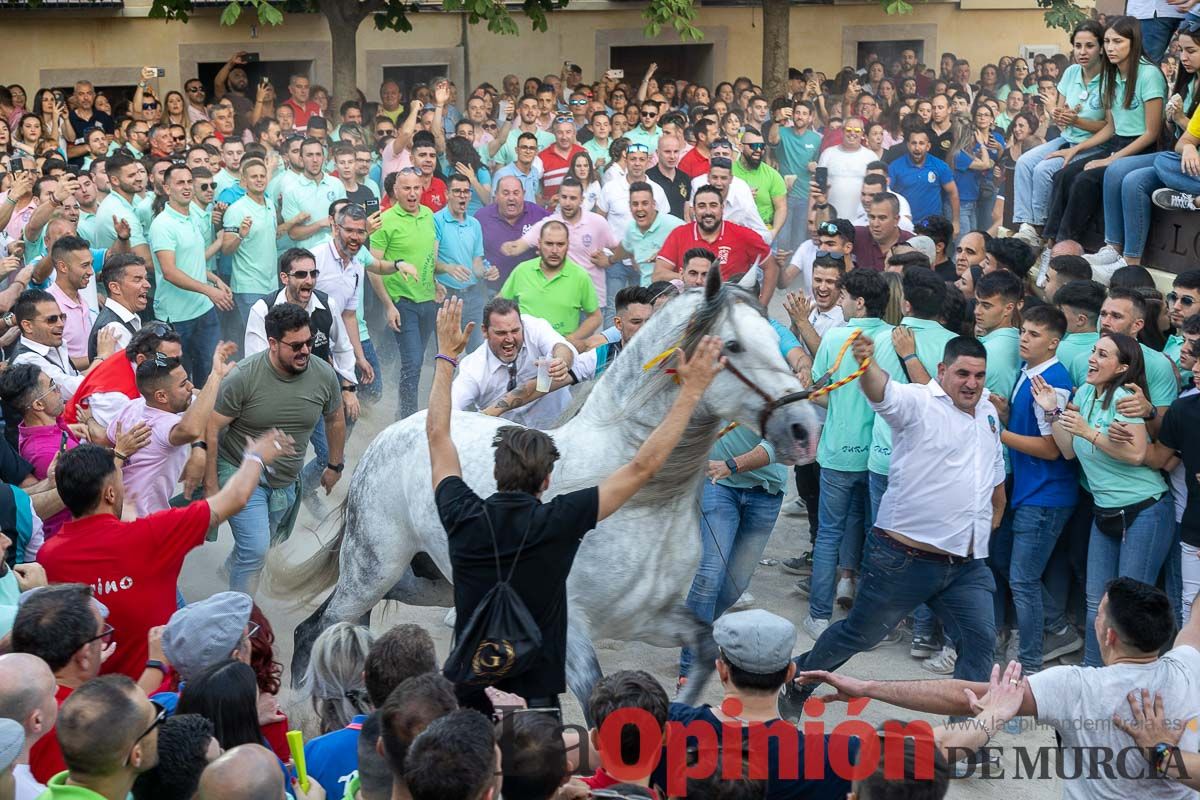 Entrega de premios del concurso morfológico de los Caballos del Vino de Caravaca