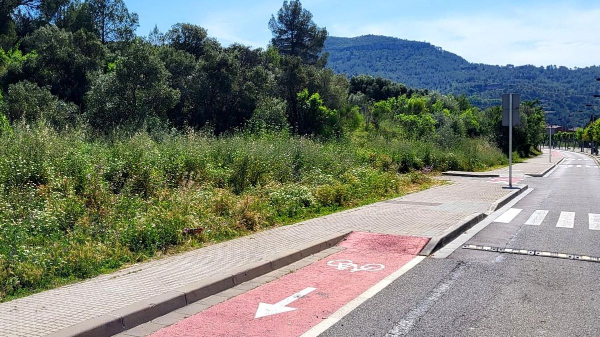 Terrenys on es construirà el futur institut a l’Avinguda Catalunya, al Borràs