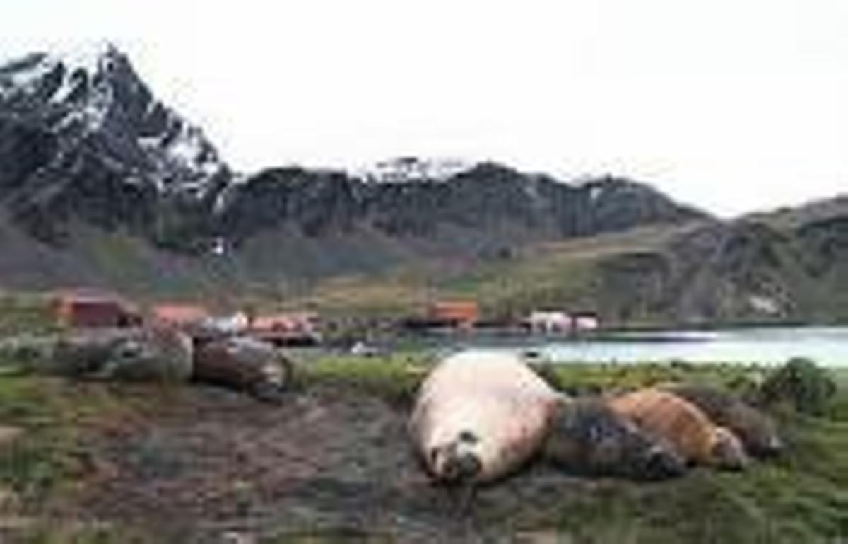 Galicia protagoniza el festival de cine submarino