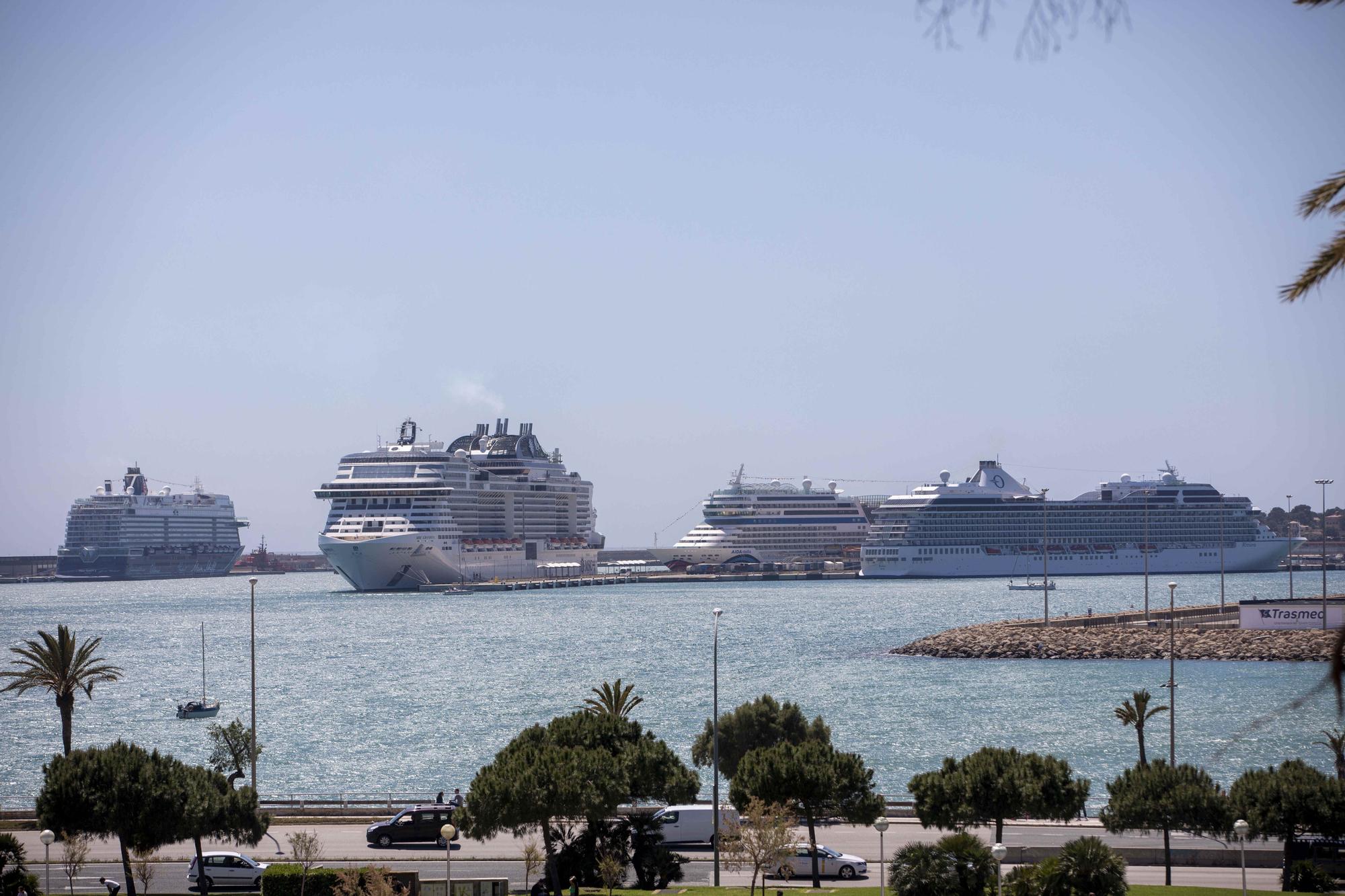 Cuatro grandes cruceros atracados en Palma este domingo
