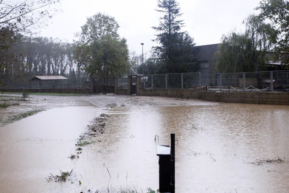 Temporal de llevant a les comarques gironines