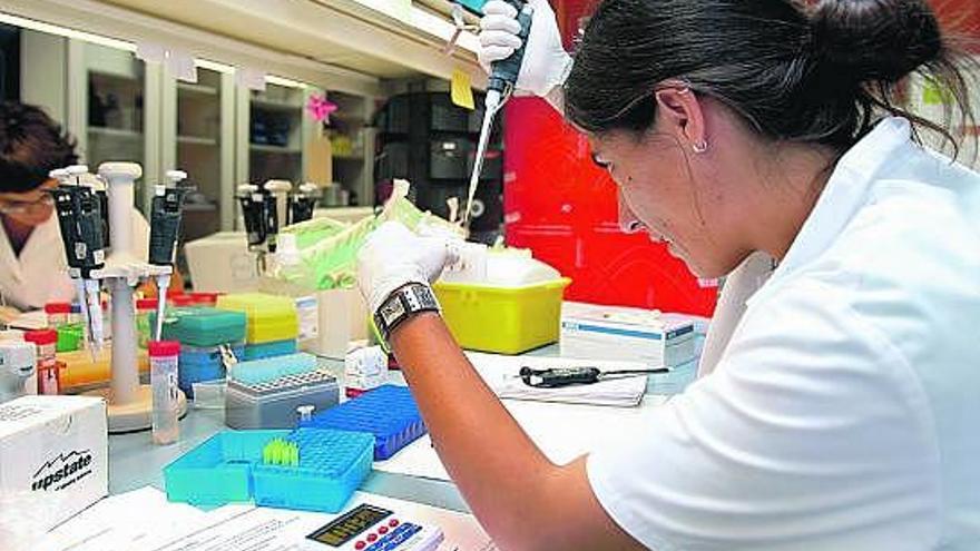 Un laboratorio de investigación de loita contra o cancro. / efe