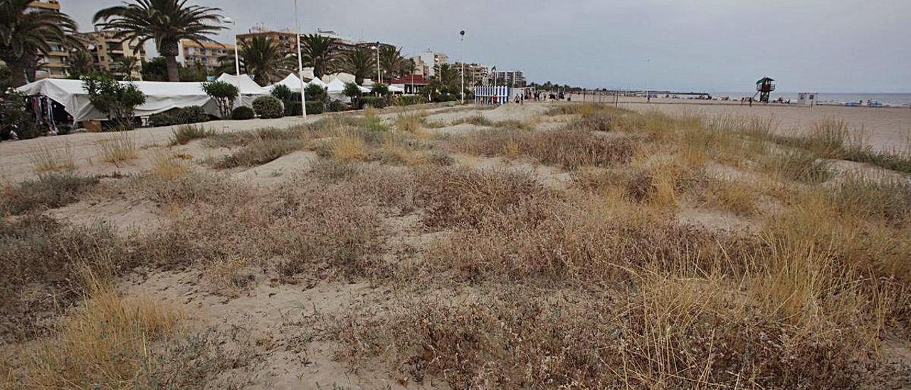 Imagen de las dunas del Port de Sagunt.