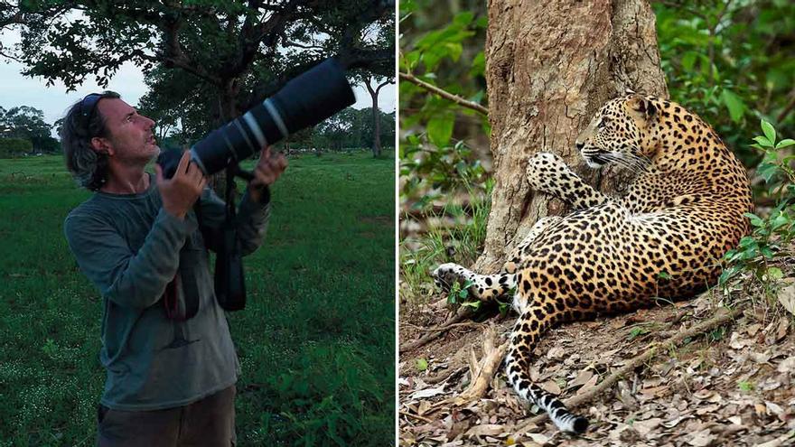 El fotógrafo Andoni Canela presenta 'Panteras', un proyecto sobre los grandes felinos y su lucha por sobrevivir