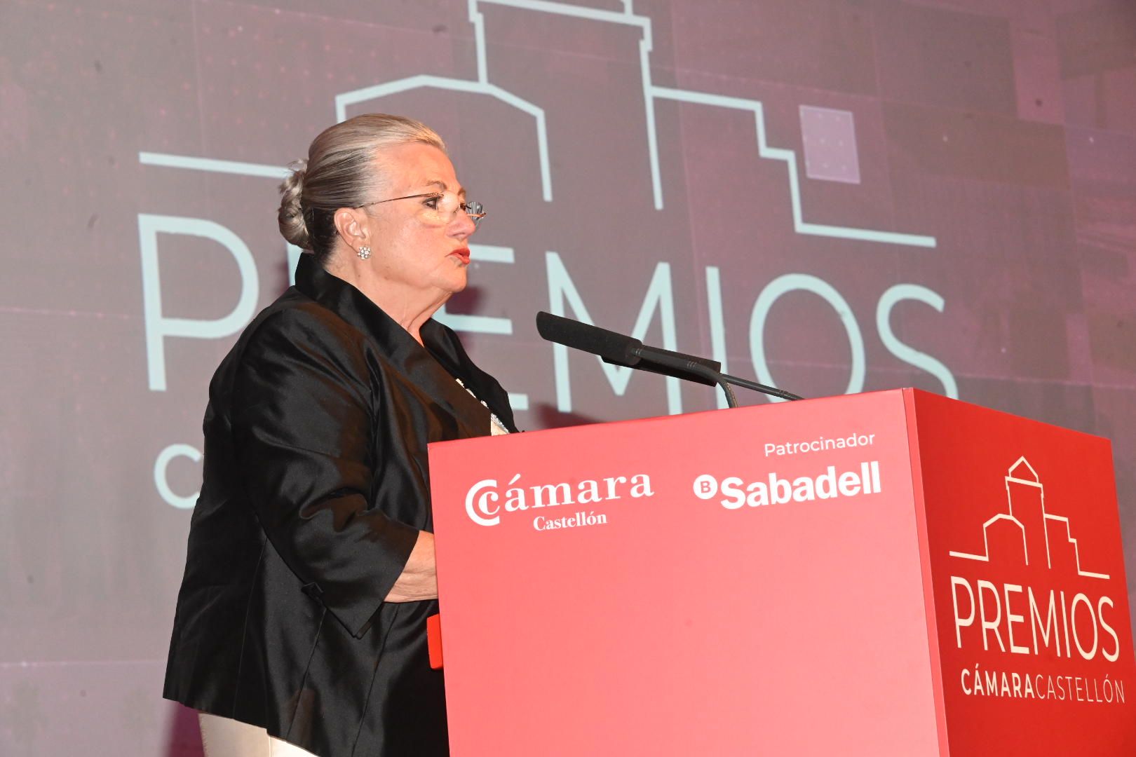 Galería: Entrega de los Premios de Cámara