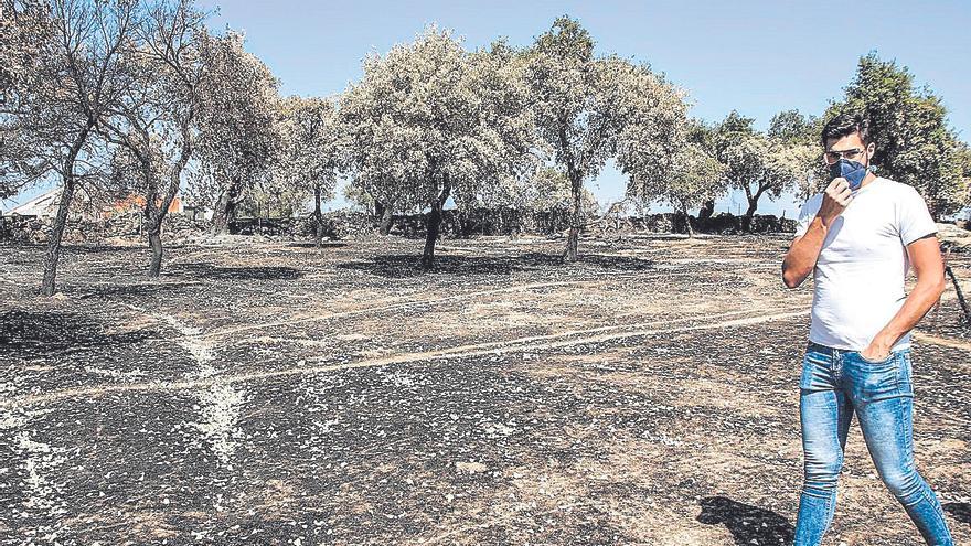 Juna Antonio Gamero muestra los daños en su explotación.