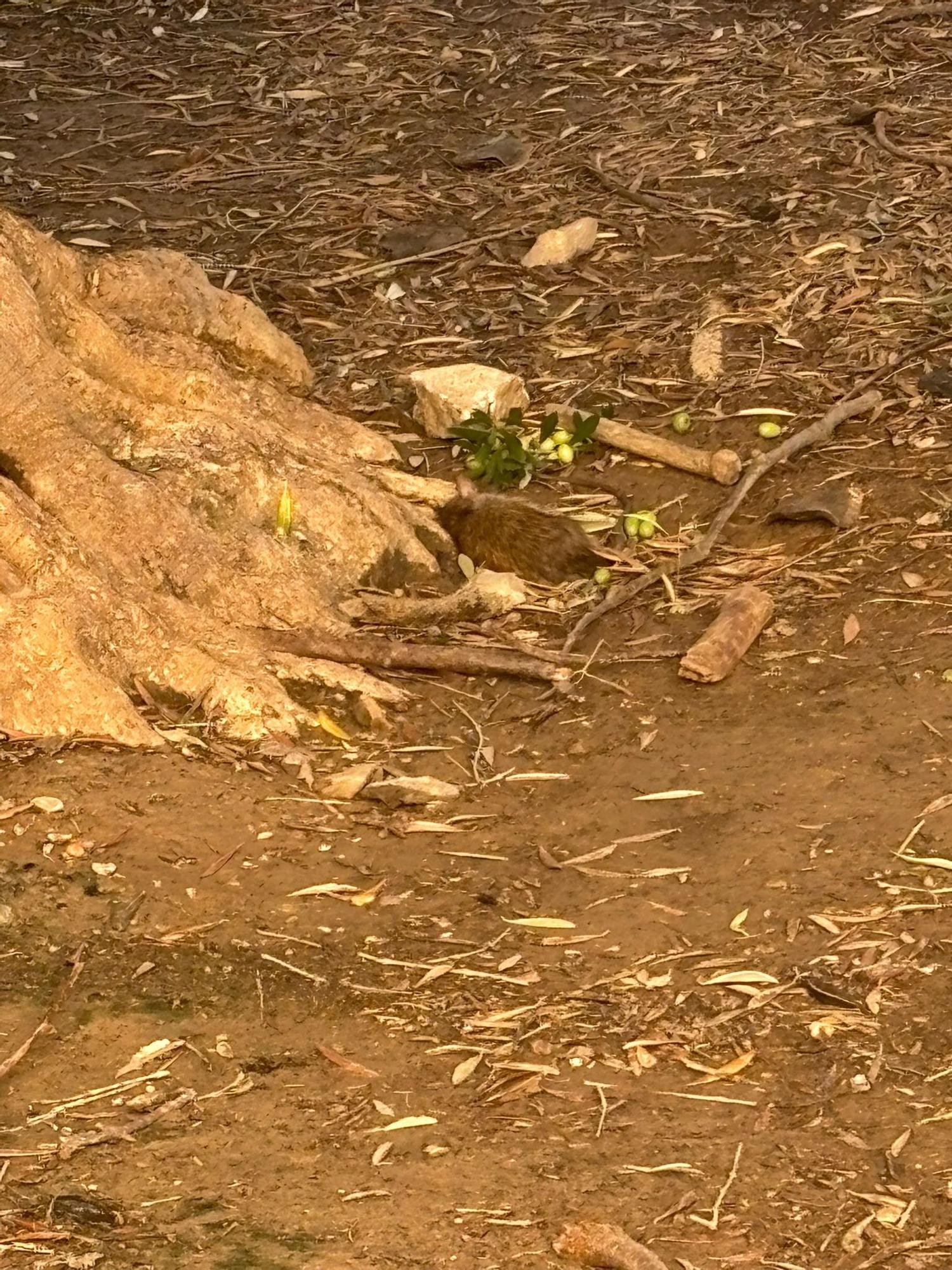 WhatsApp Image 2025-10-13 at 17.09.58 (2).jpeg