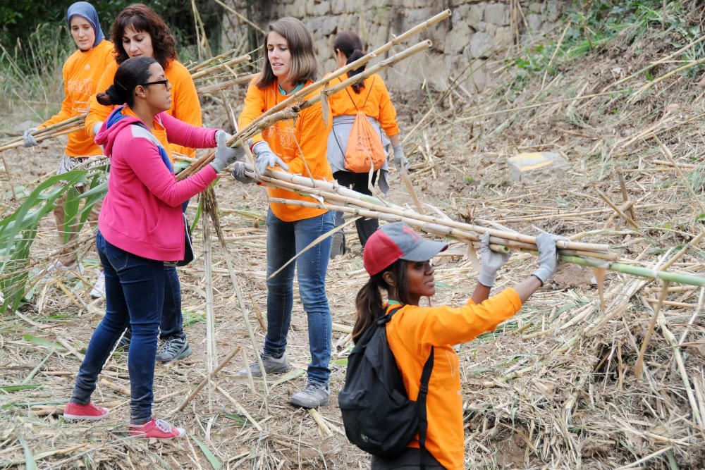 Neteja de la vora del riu Cardener a càrrec dels membres i voluntaris del projecte Invulnerables