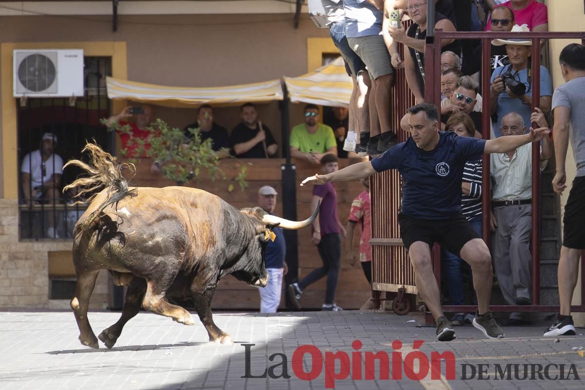 Tercer encierro de las Fiestas de Moratalla