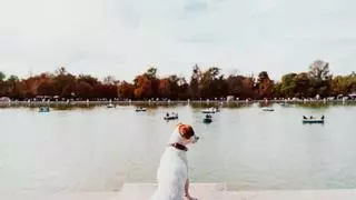 No te quedes sin celebrar el Día del Perro: estos son los parques madrileños 'pet friendly' para pasear con tu mejor amigo