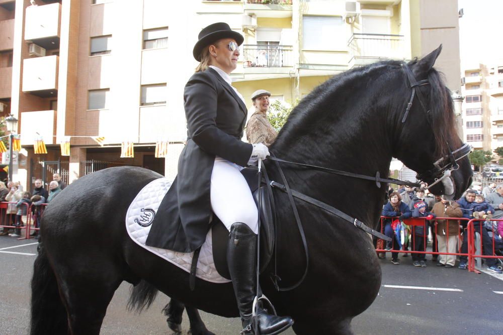 Sant Antoni en Valencia 2017