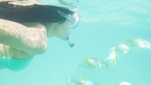 Así es el Caribe que no sale en las postales article