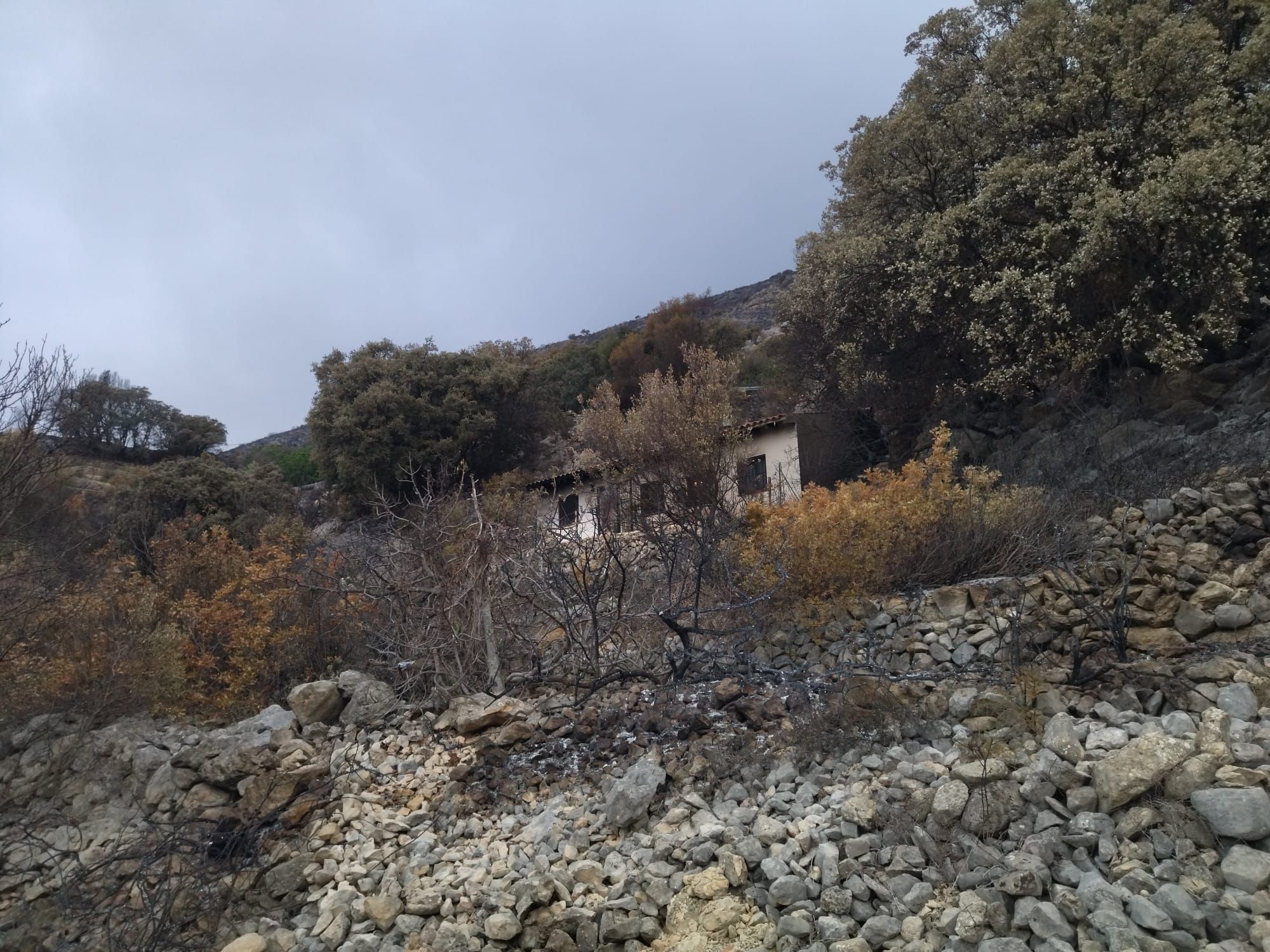 La destrucción del incendio de Tàrbena, en imágenes