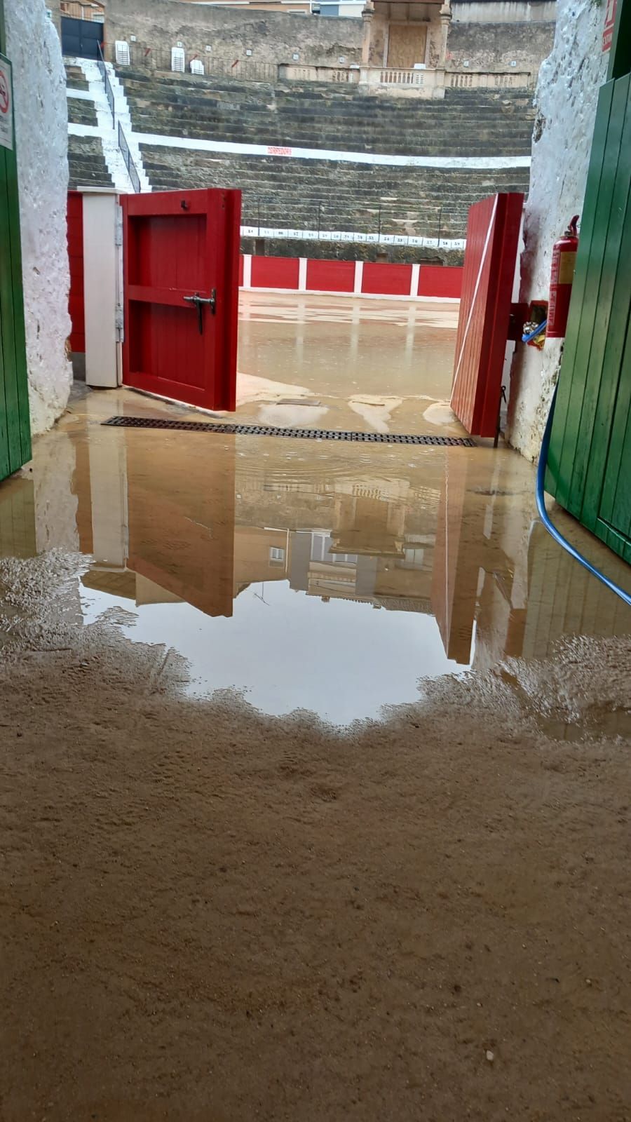 La plaza de toros de Bocairent, inundada por las últimas lluvias