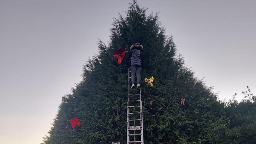 Miembros de la comisión decorando este fin de semana.