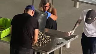Estrenan la «lonja» de O Ramal llamada a «catapultar» a la Ameixa de Carril