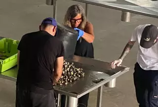 Estrenan la «lonja» de O Ramal llamada a «catapultar» a la Ameixa de Carril