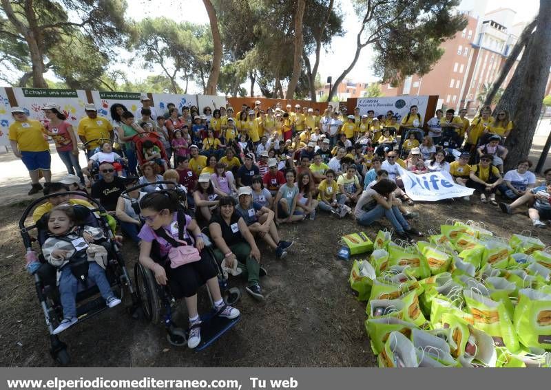 GALERÍA DE FOTOS- Jornada para Crecer en Diversidad en el Pinar