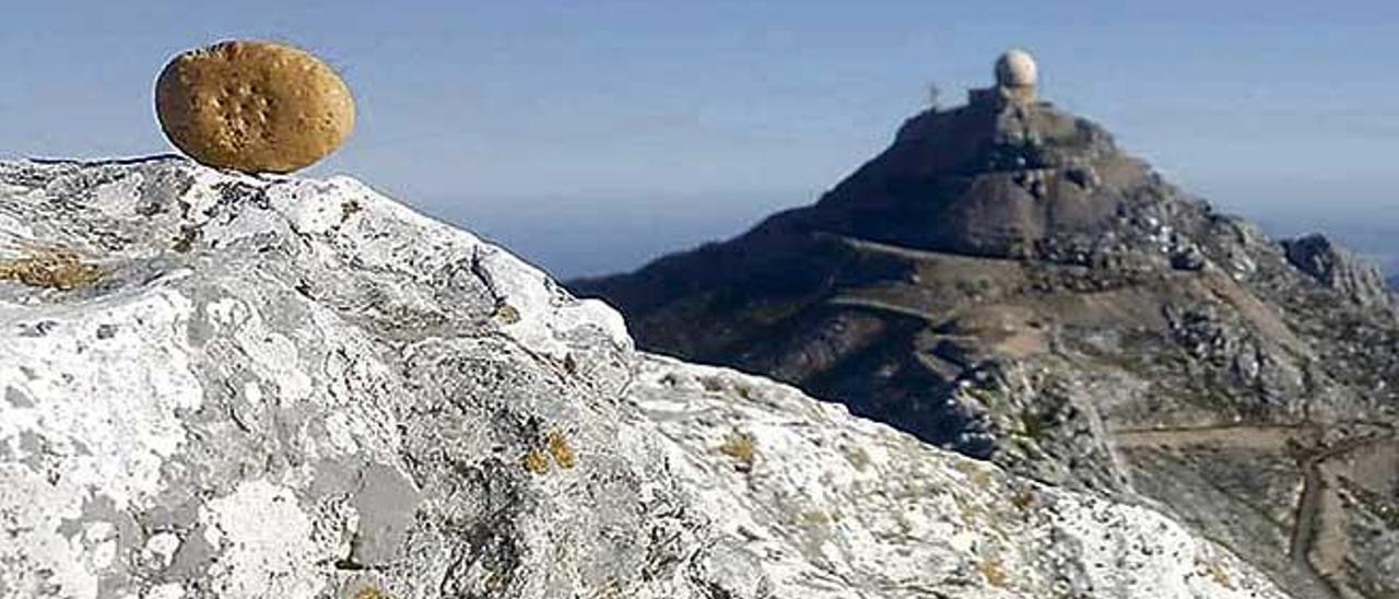 Evocadora fotografía con dos iconos muy mallorquines.