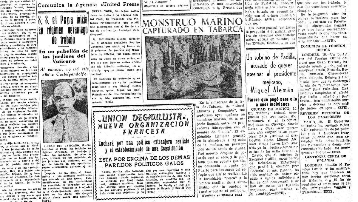 Portada de INFORMACIÓN donde se informaba sobre el tiburón blanco