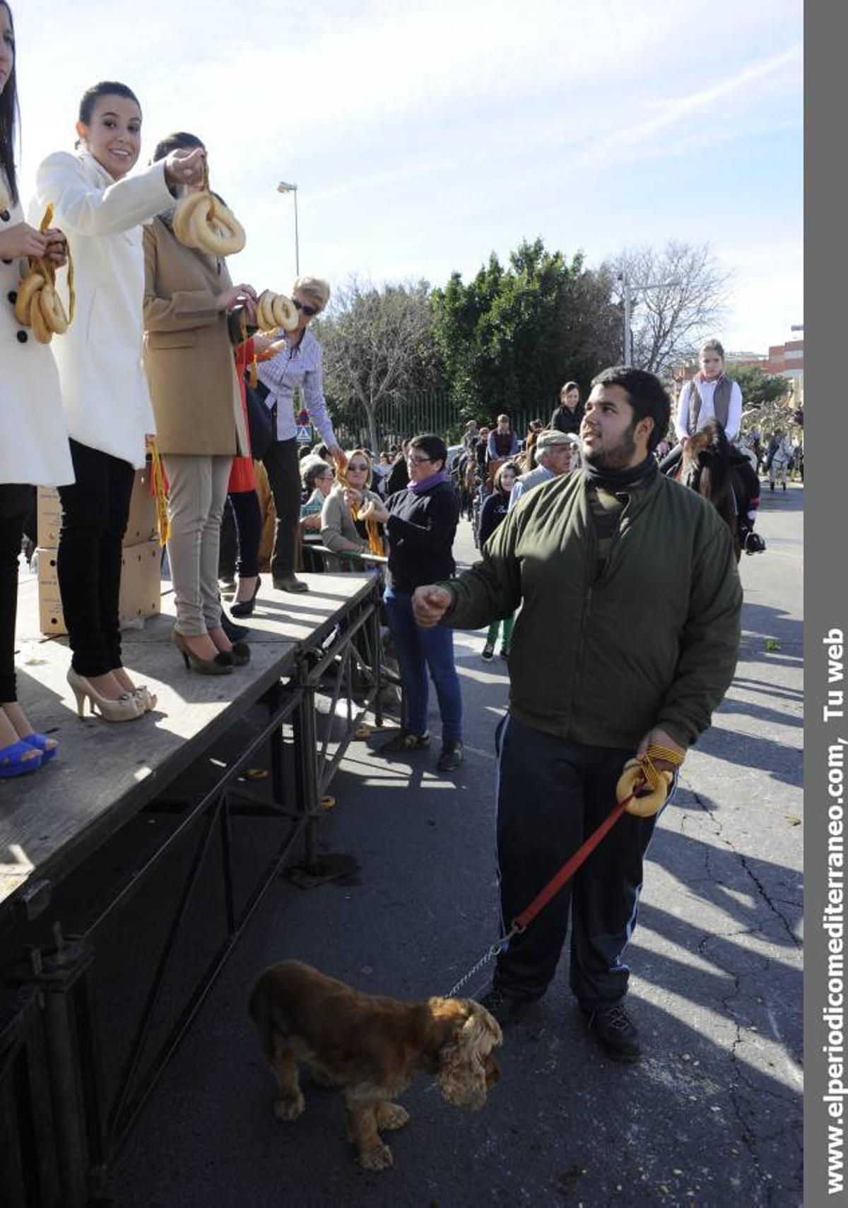 GALERÍA FOTOS: Castellón celebra Sant Antoni