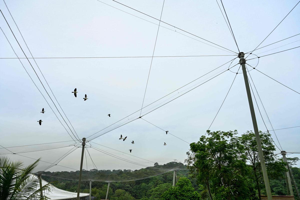 Singapur estrena el parque Paraíso de los pájaros