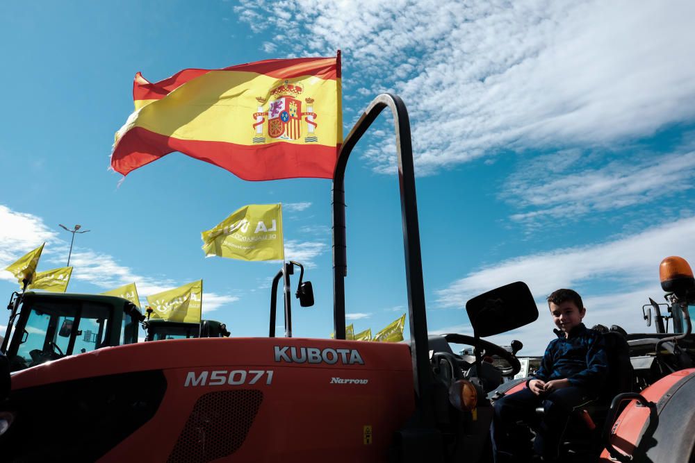 Tractorada en defensa del campo alicantino