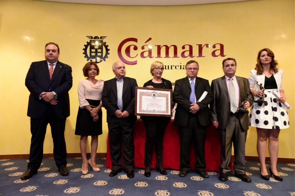 Entrega de los Premios Mercurio