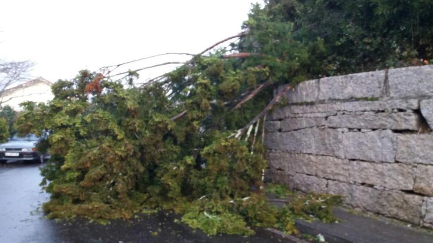El temporal causa cortes de luz y caídas de árboles y ramas en la comarca de A Coruña