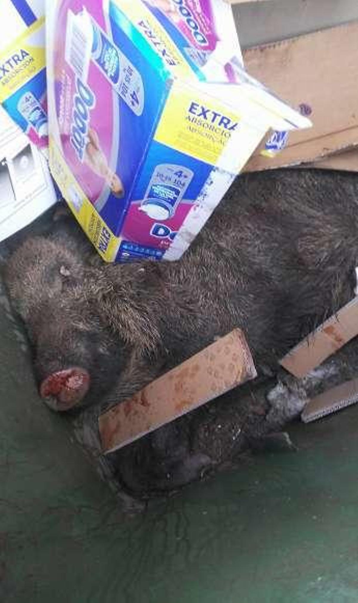 El suido, en el punto limpio de Roces.